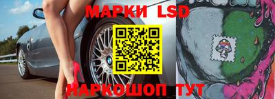 шишки Кимры