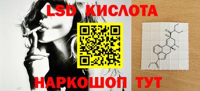 шишки Кимры