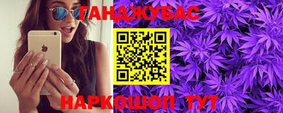 шишки Кимры