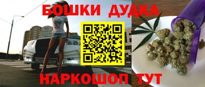 шишки Кимры
