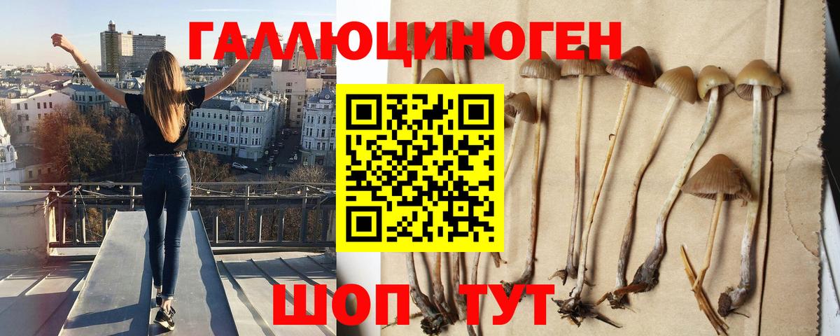 Псилоцибиновые грибы Magic Shrooms  Вход с VPN  Красноуфимск  Галлюциногенные грибы MAGIC MUSHROOMS 